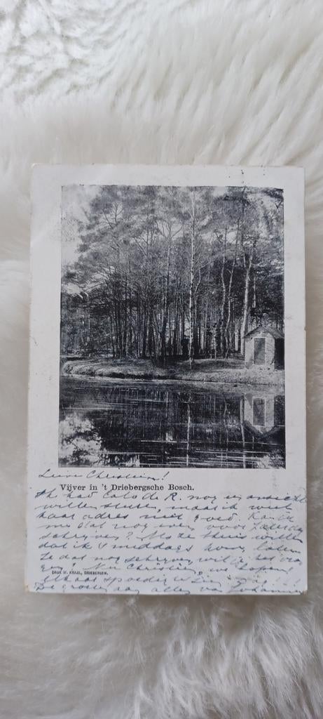 Ansichtkaart Vijver in 't Driebergse Bosch (1901), Ophalen of Verzenden, Voor 1920, Gelopen, Utrecht
