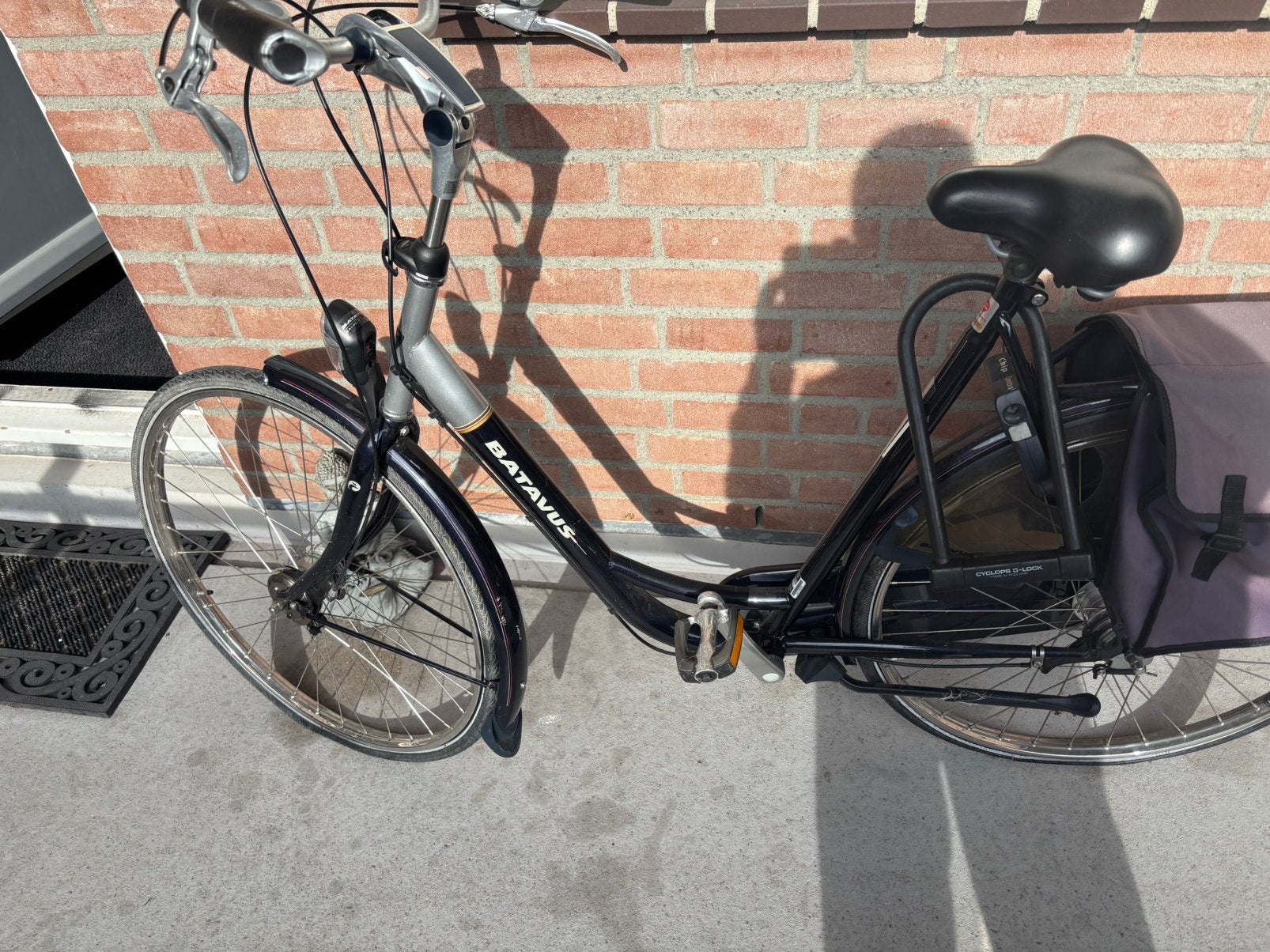 T.k.a. Batavus damesfiets., Ophalen of Verzenden, Gebruikt