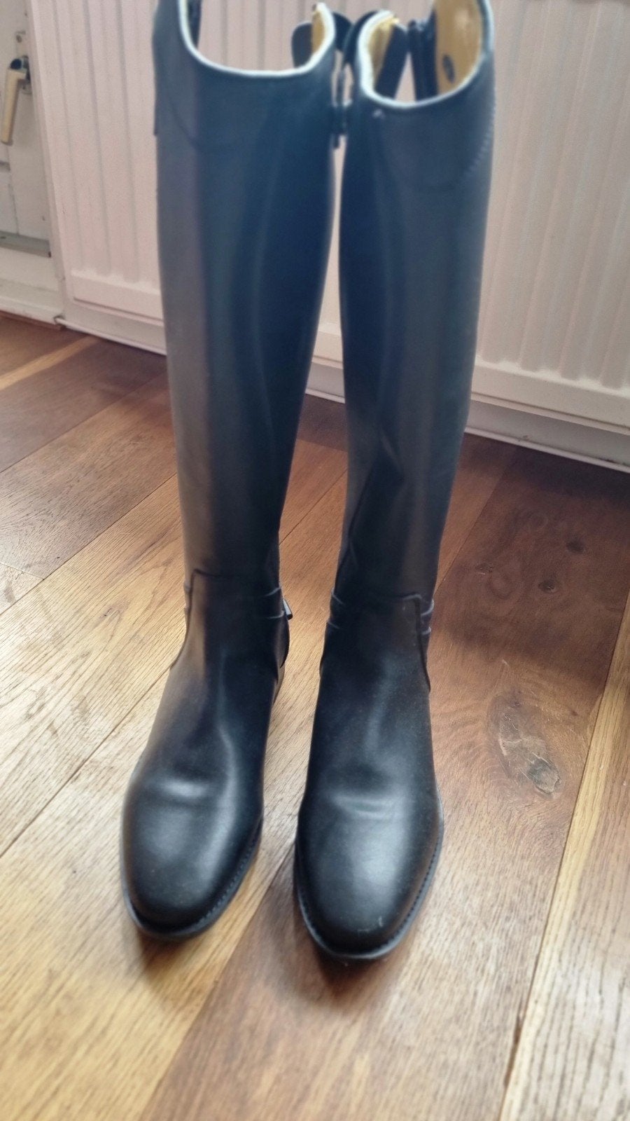 paardijlaarzen HKM maat 39, Dressuur, Nieuw, Ophalen of Verzenden, Schoeisel