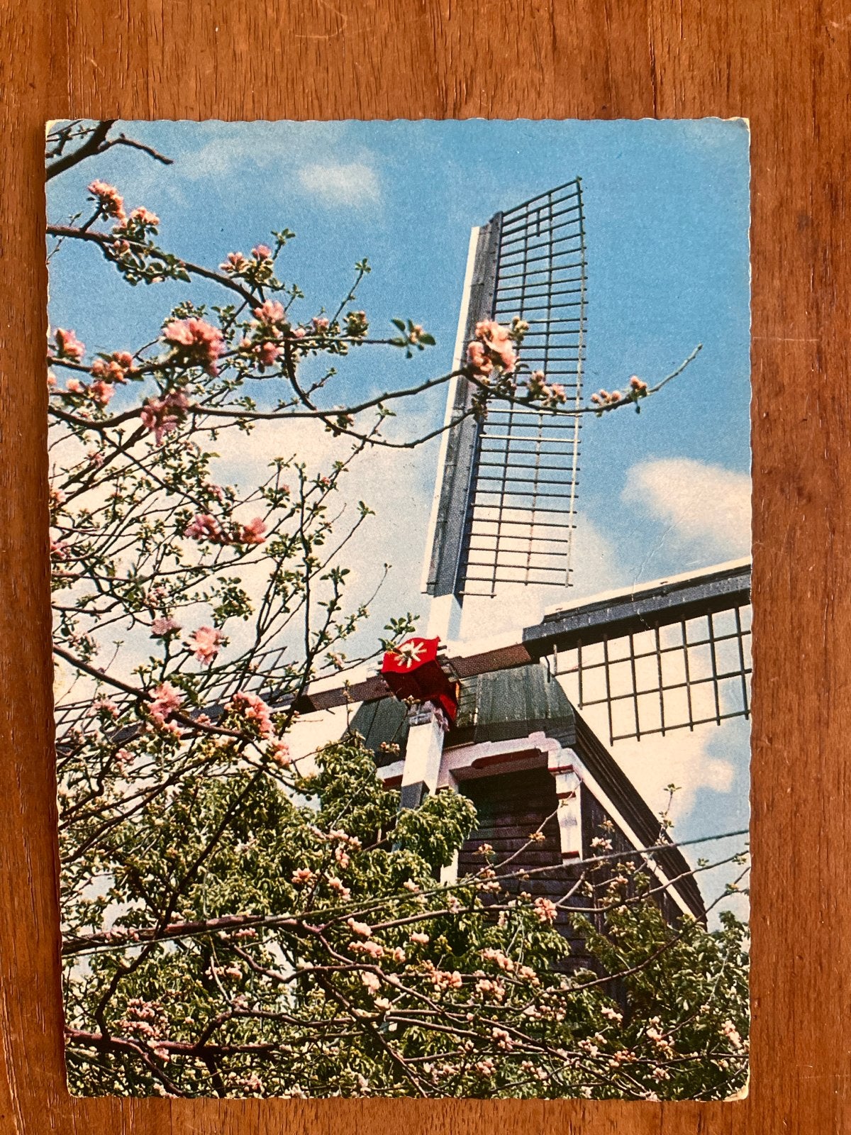 Wipwatermolen te Beesd (Gelderland), Ophalen of Verzenden, 1960 tot 1980, Gelopen, Gelderland