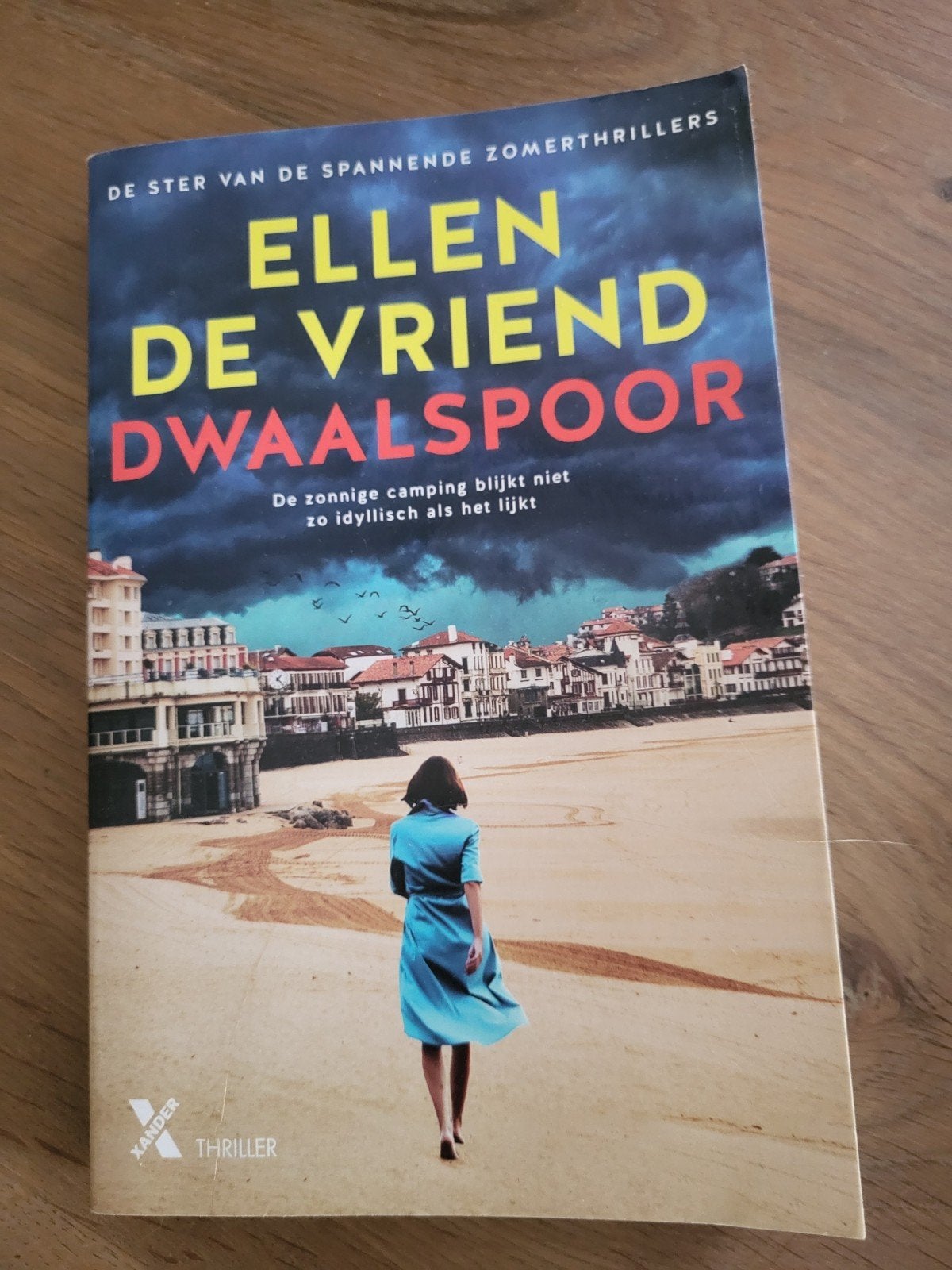 Ellen De Vriend - Dwaalspoor, Ophalen of Verzenden, Zo goed als nieuw, Ellen De Vriend