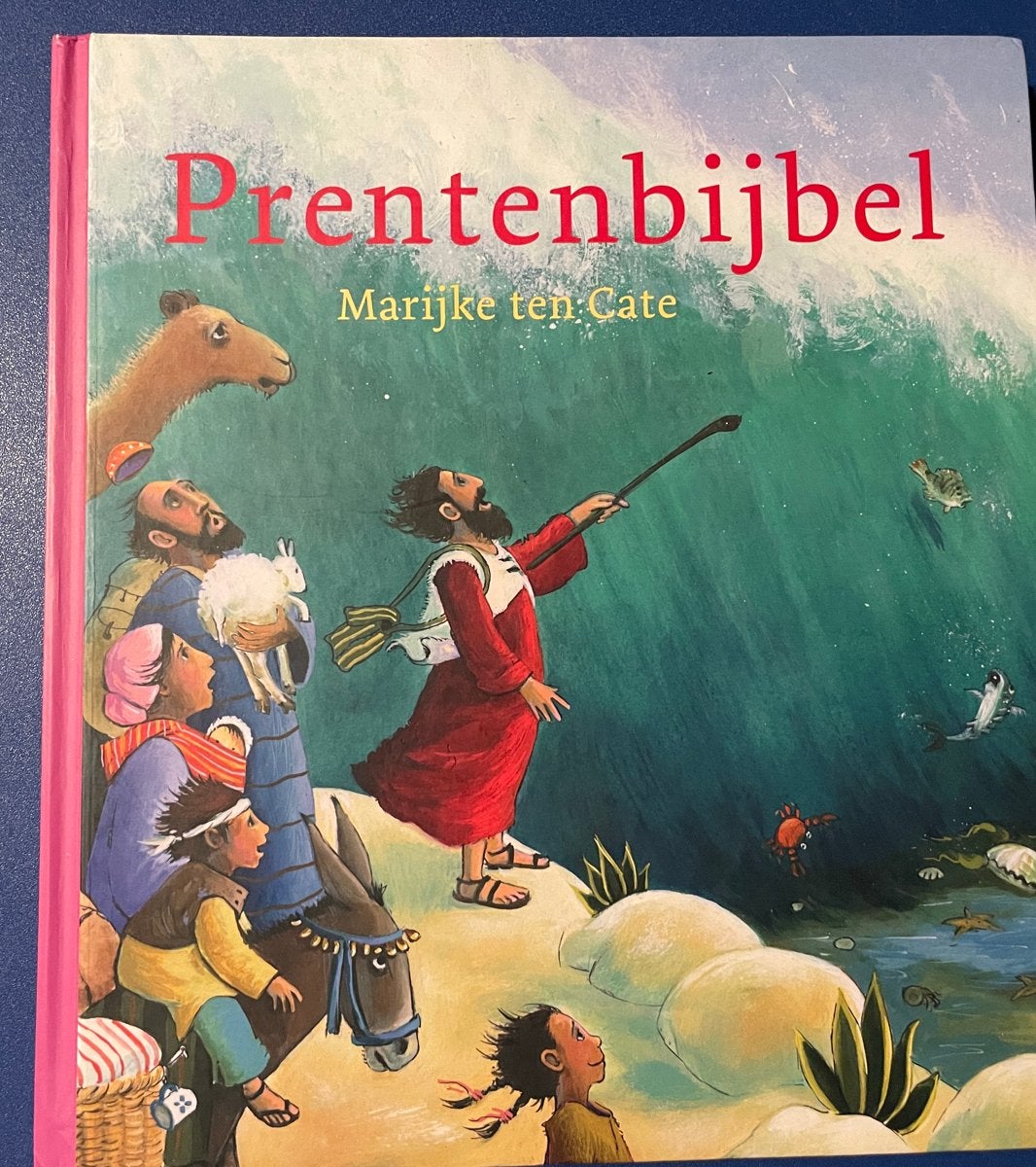 Prentenbijbel - Marijke ten Cate, Boeken, Ophalen of Verzenden, Gelezen