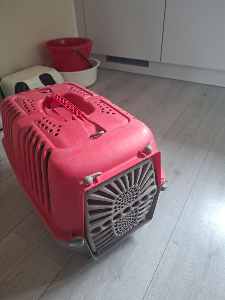 Kattenreismand, Dieren en Toebehoren, Ophalen of Verzenden, Gebruikt