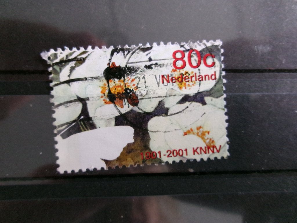 2001 - duinroosje, junikevers (976e), Verzenden, Gestempeld