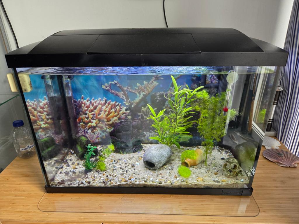 Aquarium, Dieren en Toebehoren, Vissen | Aquaria en Toebehoren, Ophalen of Verzenden, Gebruikt, Leeg aquarium