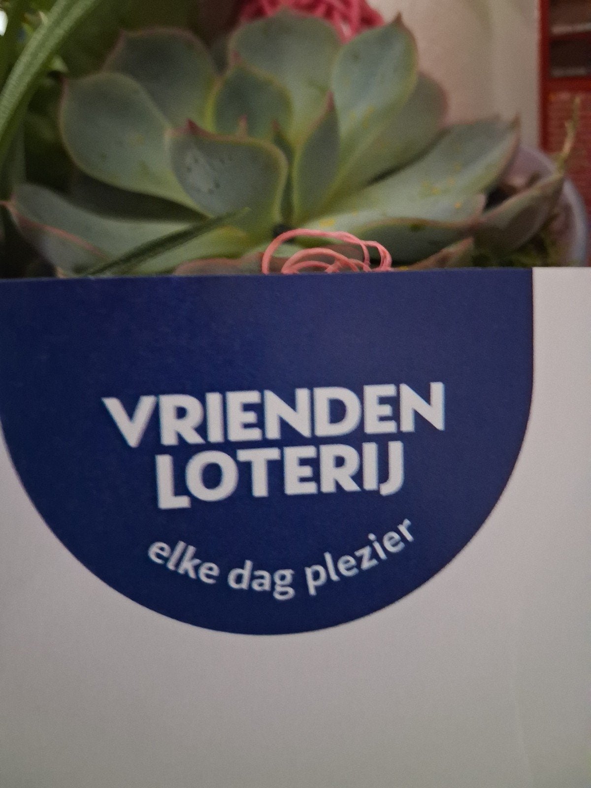 Artis dierentuin kaartjes 4, Drie personen of meer