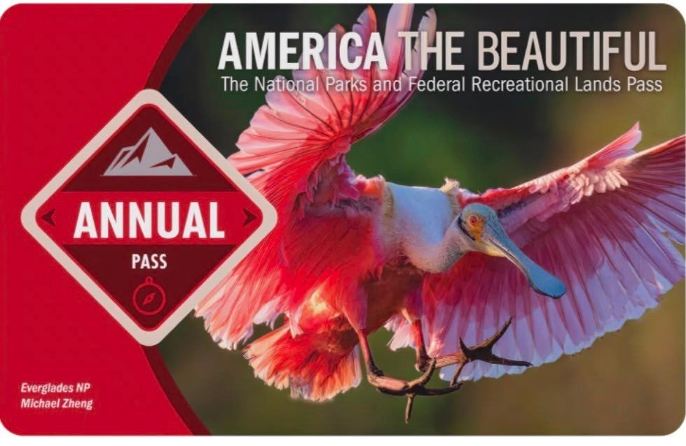 america the beautiful pass (digitaal), Drie personen of meer
