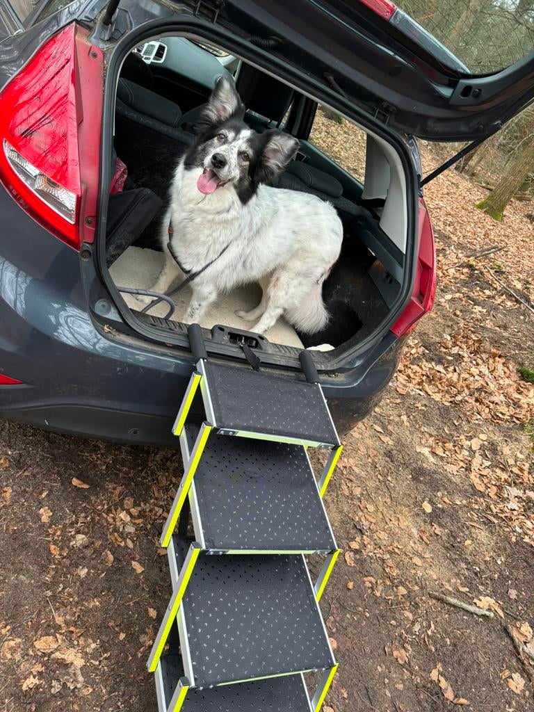 Honden loopplank, Dieren en Toebehoren, Honden-accessoires, Ophalen, Zo goed als nieuw