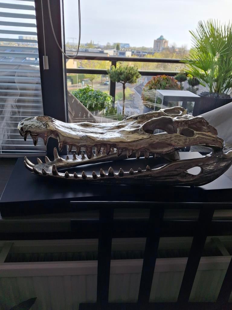 Krokodillen schedel zilver kleurig metaal art of nature, Overige soorten, 0 tot 2 jaar