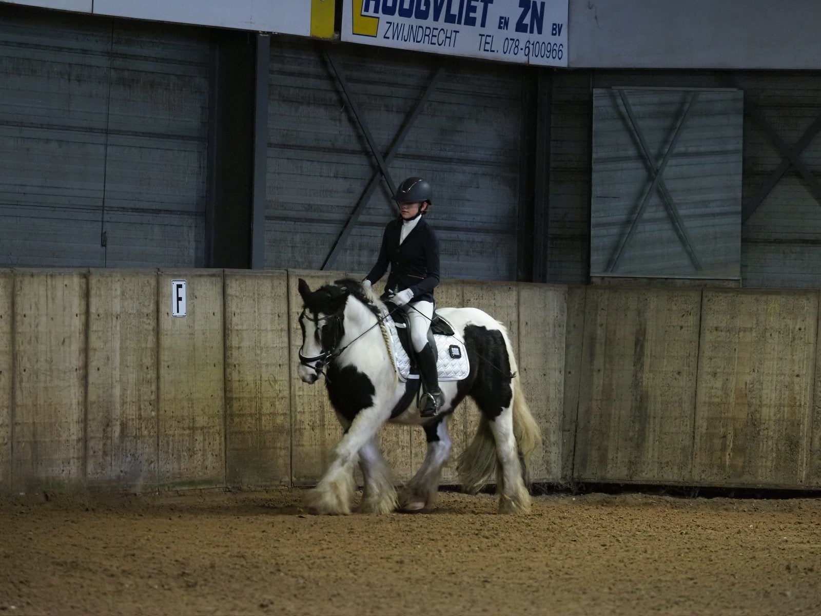 Verzorg/Bijrijd paard/pony gezocht., Dieren en Toebehoren, Paarden en Pony's | Verzorgingsproducten, Ophalen of Verzenden