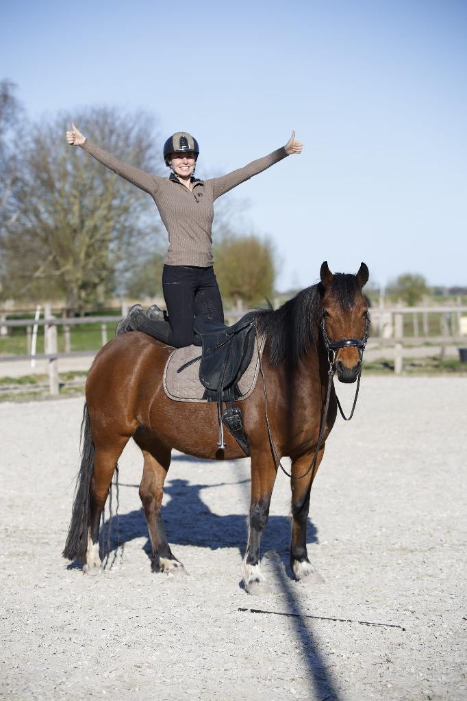 ⭐️ Zadelmak maken & Revalidatie ⭐️, Gedragstraining