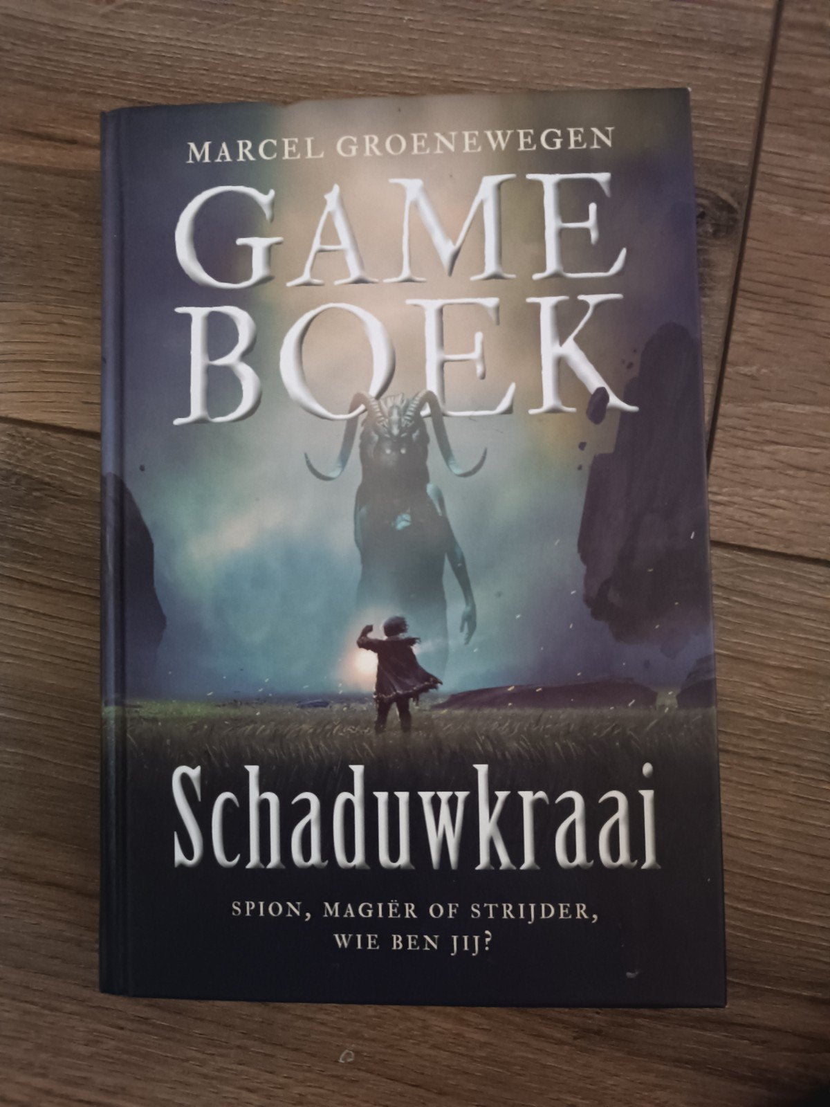 Game Boek: Schaduwkraai - Marcel Groenewegen, Boeken, Ophalen of Verzenden, Zo goed als nieuw, Marcel Groenewegen