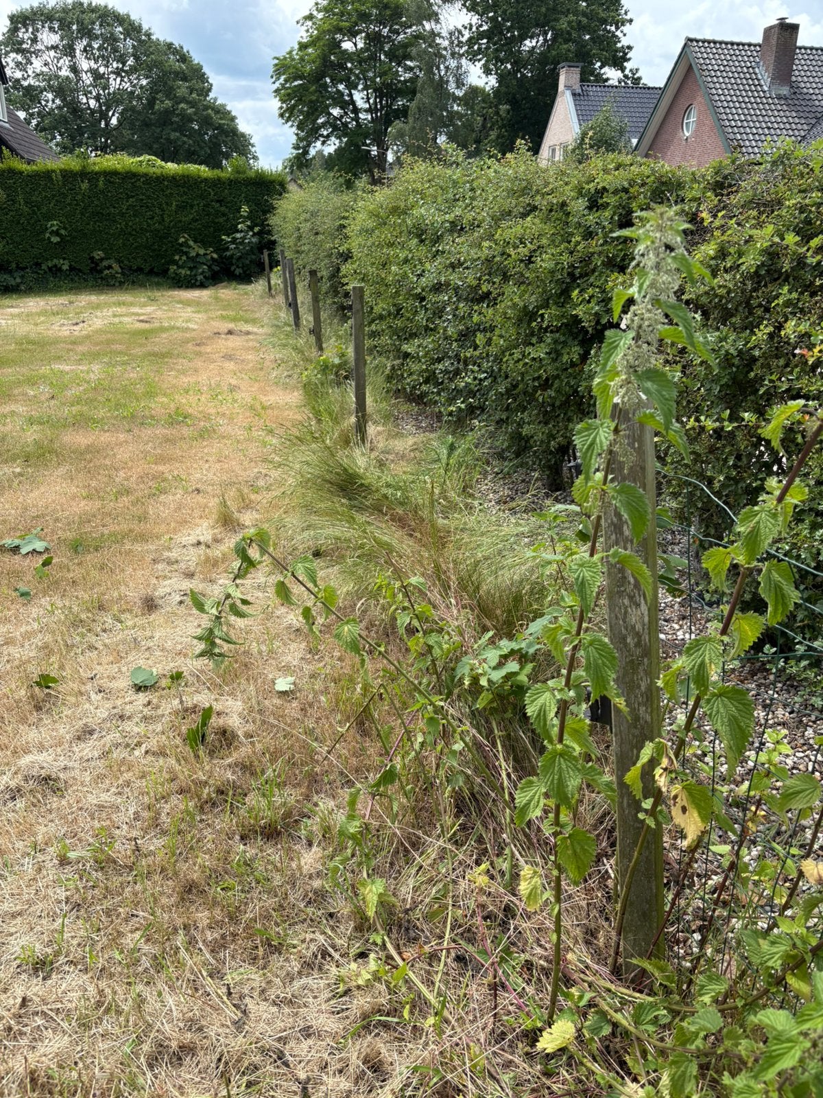 Palen en gaas, Tuin en Terras, Ophalen, Hout, Tuinhek