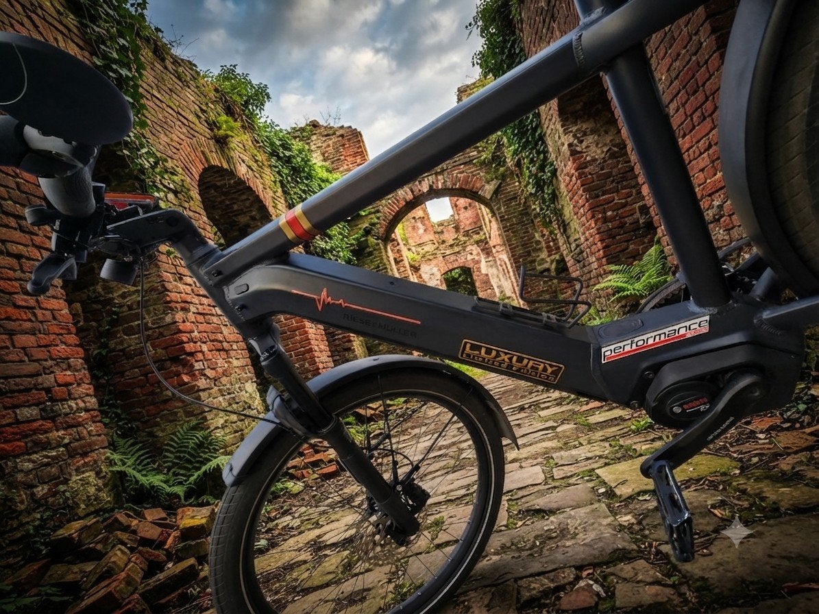 Riese & Müller E-bike -GT Vario-Luxe en comfortabel, 51 tot 55 cm, Ophalen of Verzenden, Zo goed als nieuw