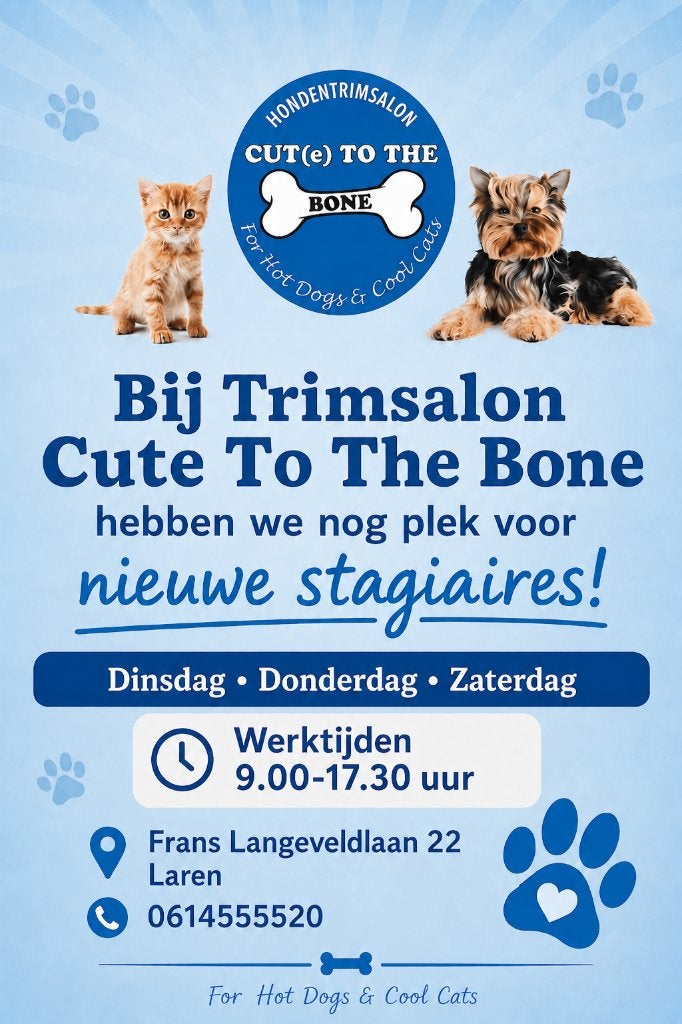 stagiaires gezocht voor trimsalon, Trimmen of Verzorging