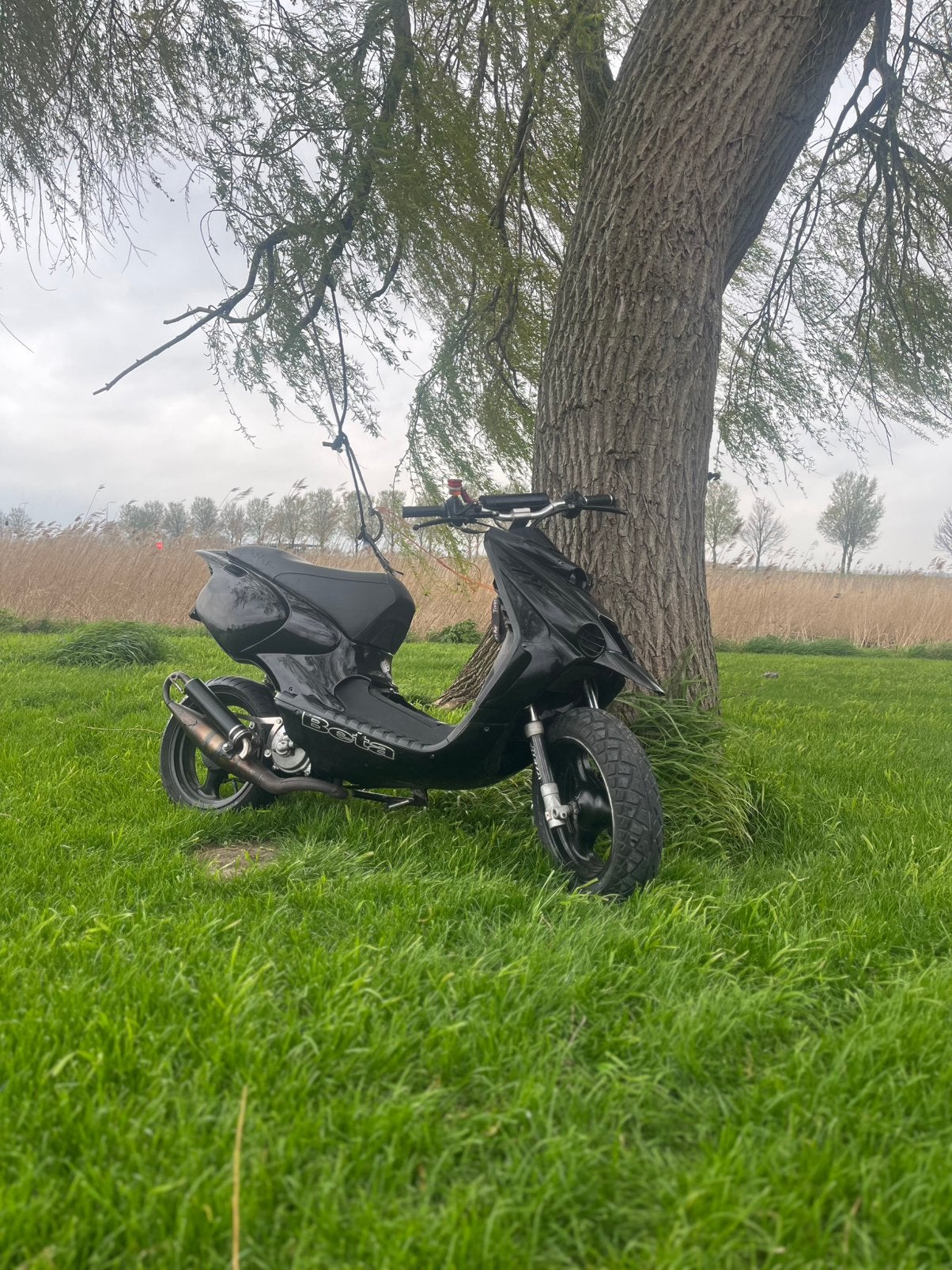 Beta ark 77cc LC teruil/tekoop, Ophalen, Tweetakt, Gebruikt, Overige modellen