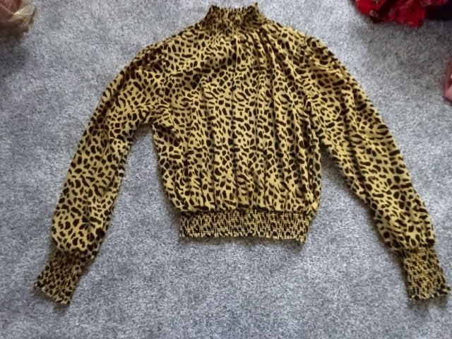 Supermooie blouse panterprint / LOAVIES / maat M / NIEUW, Kleding | Dames, Maat 38/40 (M), Overige kleuren, Nieuw, Ophalen of Verzenden