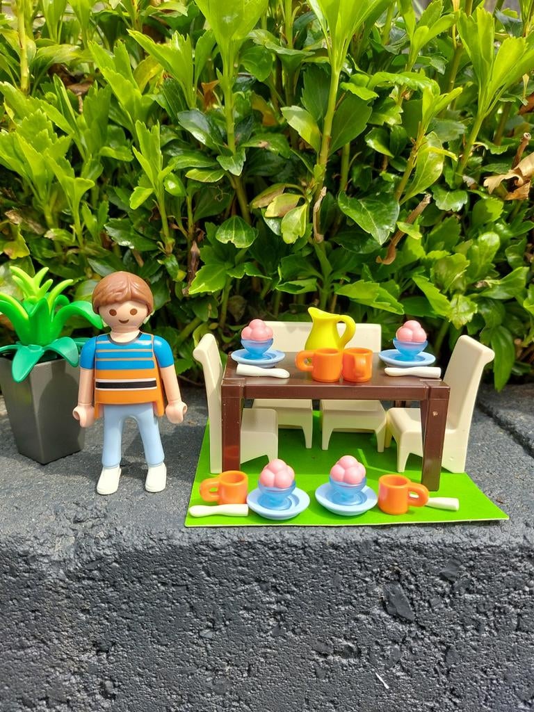 Playmobil Picknick Set 5335 met figuur en accessoires, Ophalen of Verzenden, Zo goed als nieuw, Complete set