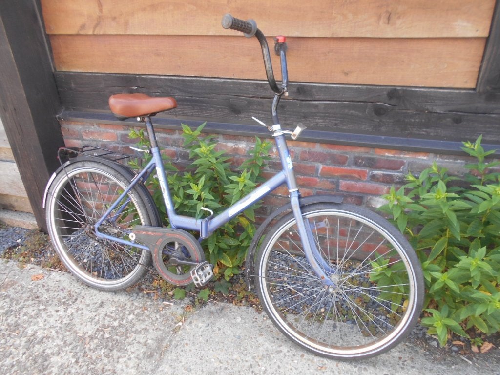 Rhino vouwfiets 24 inch, Minder dan 47 cm, Ophalen