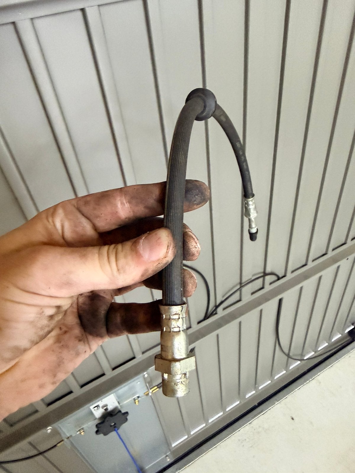 Remslangen voor BMW e36, Ophalen, Nieuw, BMW