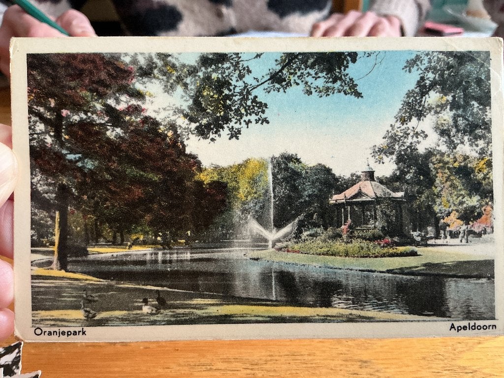 Apeldoorn oranje park 1954, Verzenden, 1940 tot 1960, Gelopen, Gelderland