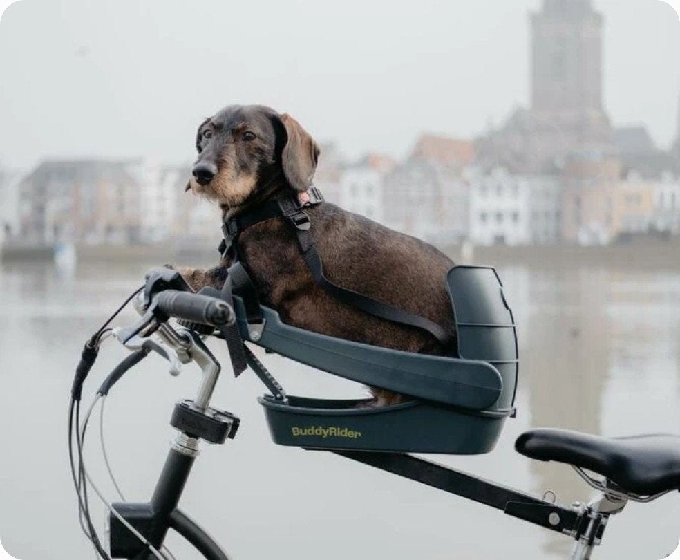 Buddyrider (flex arm), Ophalen, Nieuw