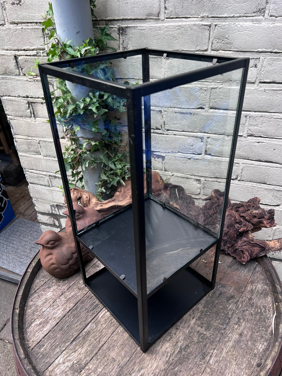 Glazen Terrarium/Display Kastje - Zwart Metaal & Glas, Ophalen of Verzenden, Zo goed als nieuw