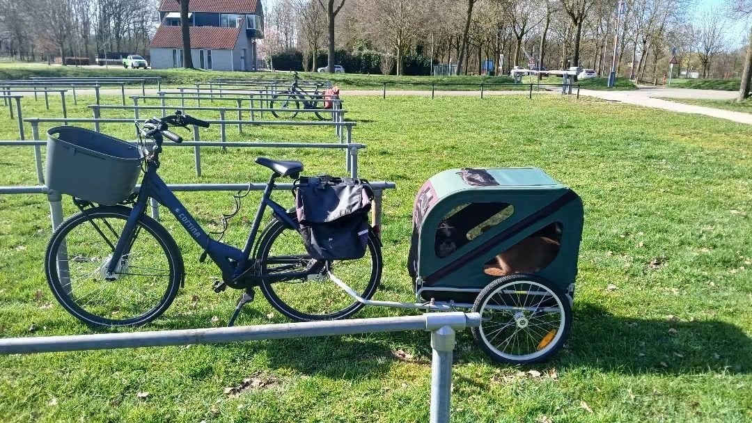 Hondenfietskar - Ideaal voor uw trouwe viervoeter!, Ophalen, Gebruikt, Onbekend, 20 tot 40 kg