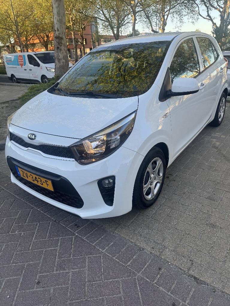 Kia Picanto 1.0 MPi  4-zits 2019 Wit Apk tot Sept 2027, Voorwielaandrijving, Stof, 4 stoelen, Wit