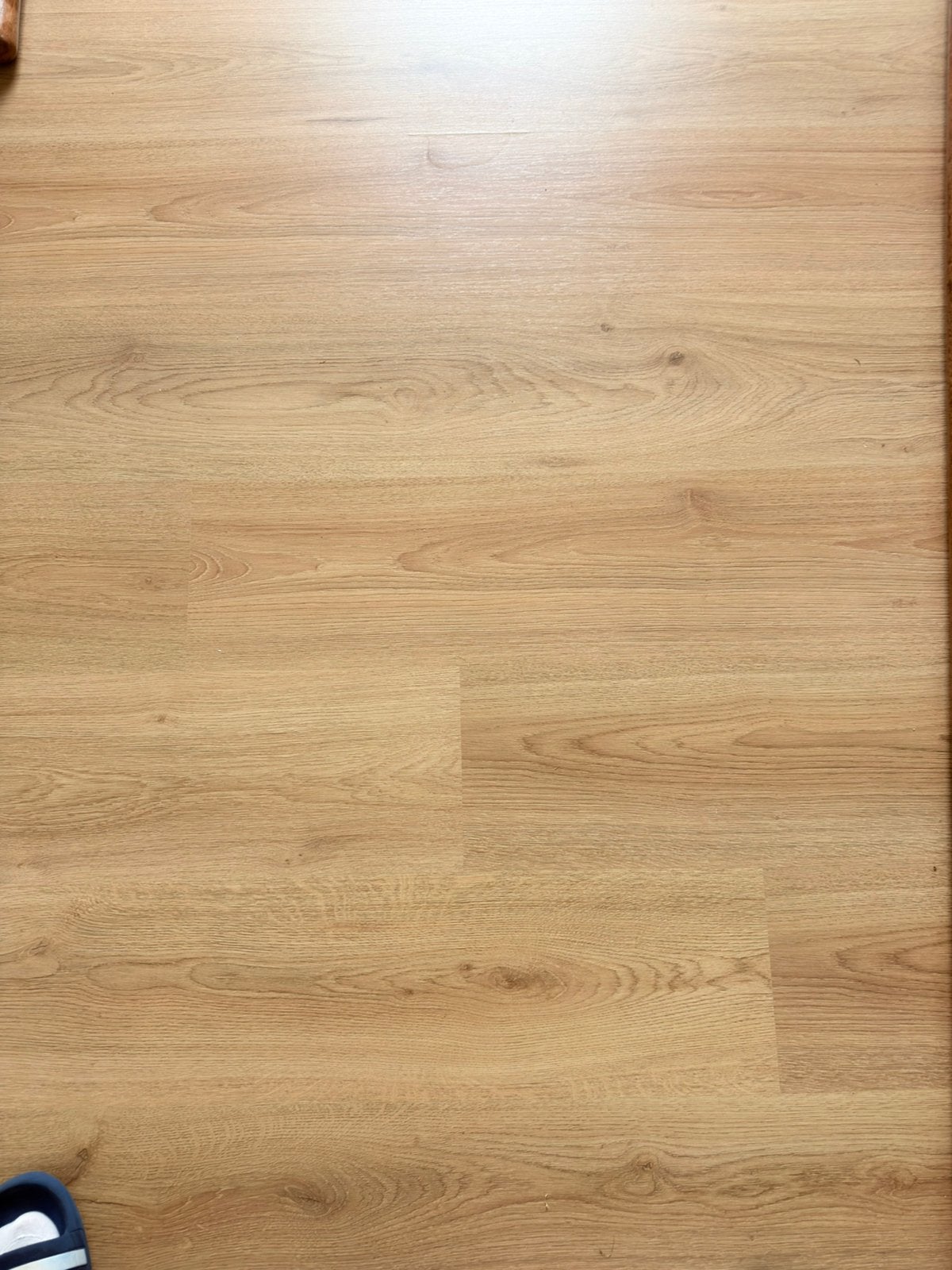 Laminaat trend oak natur 26m2, Ophalen, Nieuw, Laminaat