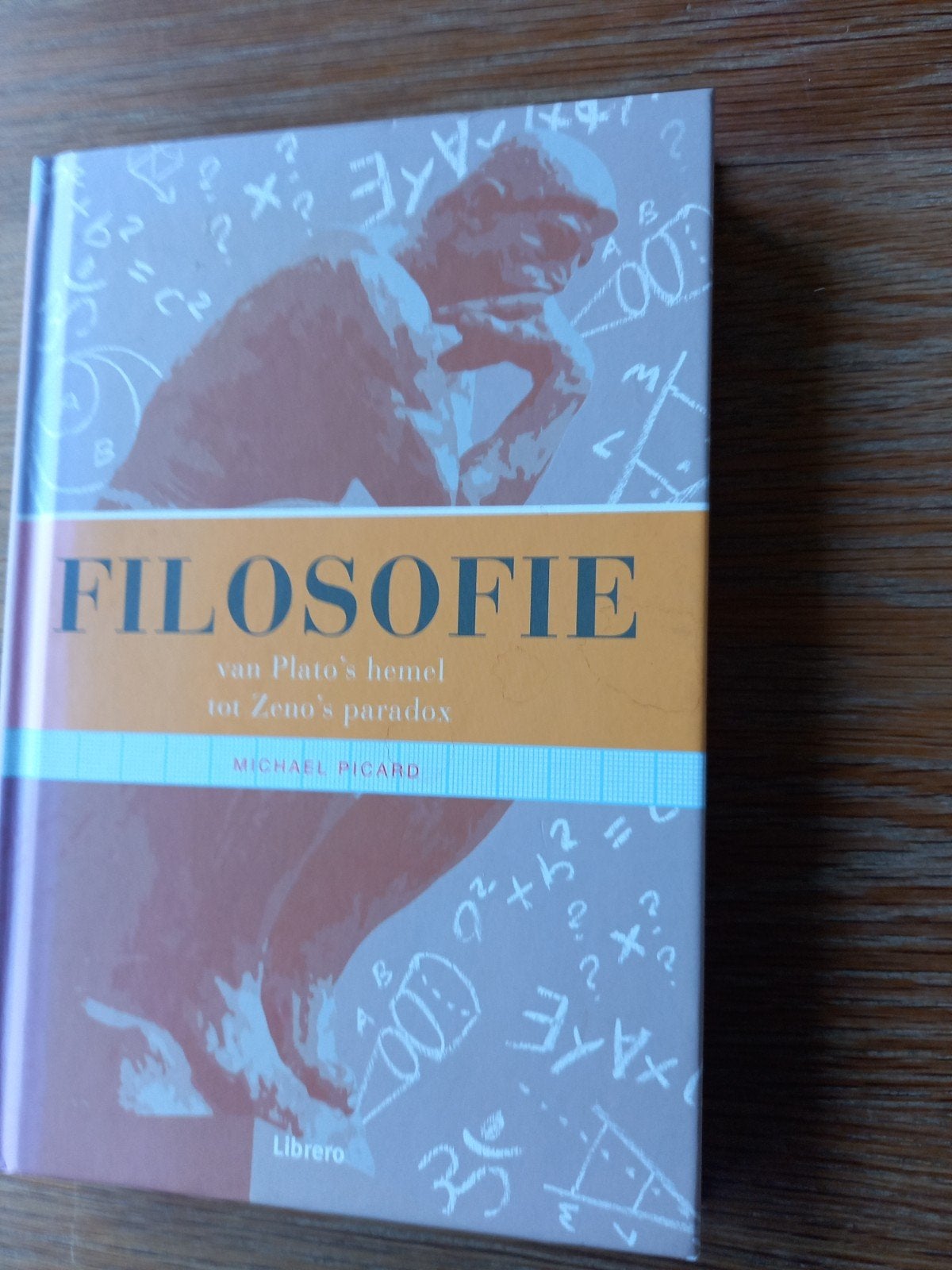 Michael Picard - Filosofie, Ophalen of Verzenden, Zo goed als nieuw, Michael Picard