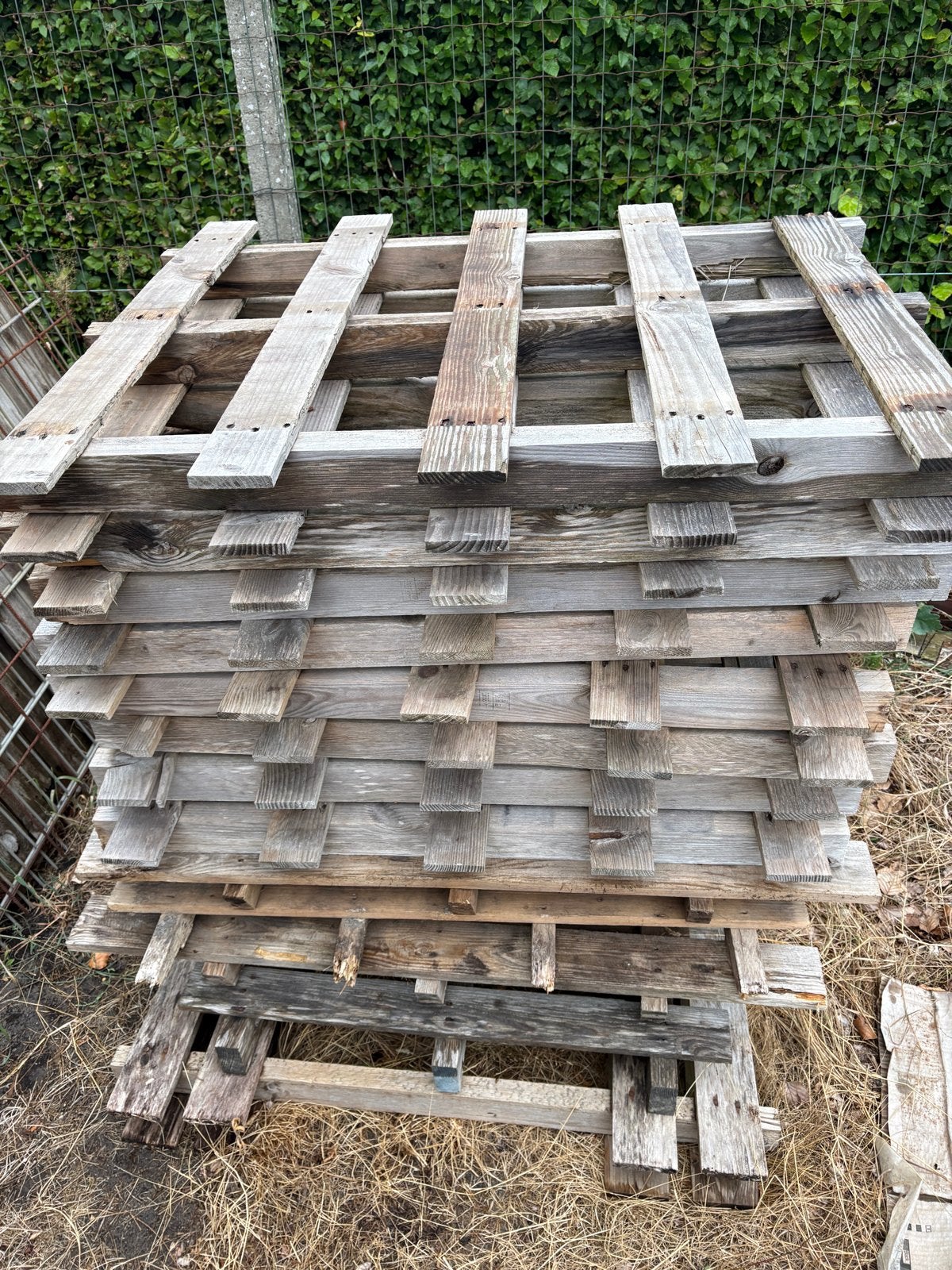 12 x pallets en diverse losse pallets in Heesch, Ophalen, Gebruikt, Pallet