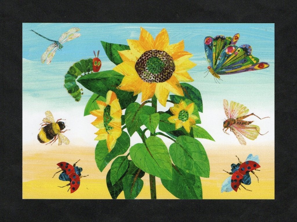 Insecten Bij Hommel Libelle Rups Vlinder Lieveheersbeestje., Ophalen of Verzenden, 1980 tot heden, Ongelopen, Overige soorten