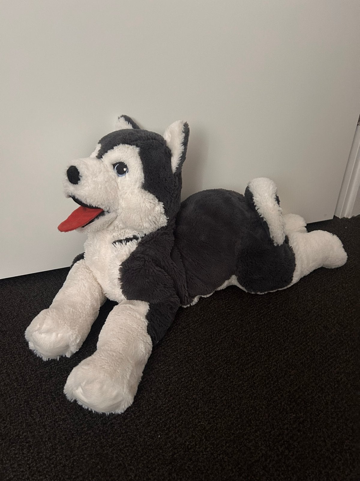 Grote knuffelhond Husky - Zo goed als nieuw, Ophalen, Grijs, Hond, Zo goed als nieuw