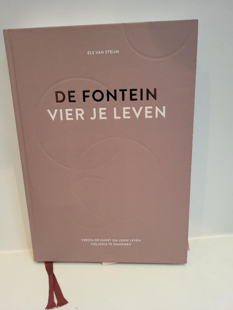 Els van Steijn				De fontein, vier je leven, Boeken, Ophalen of Verzenden, Zo goed als nieuw