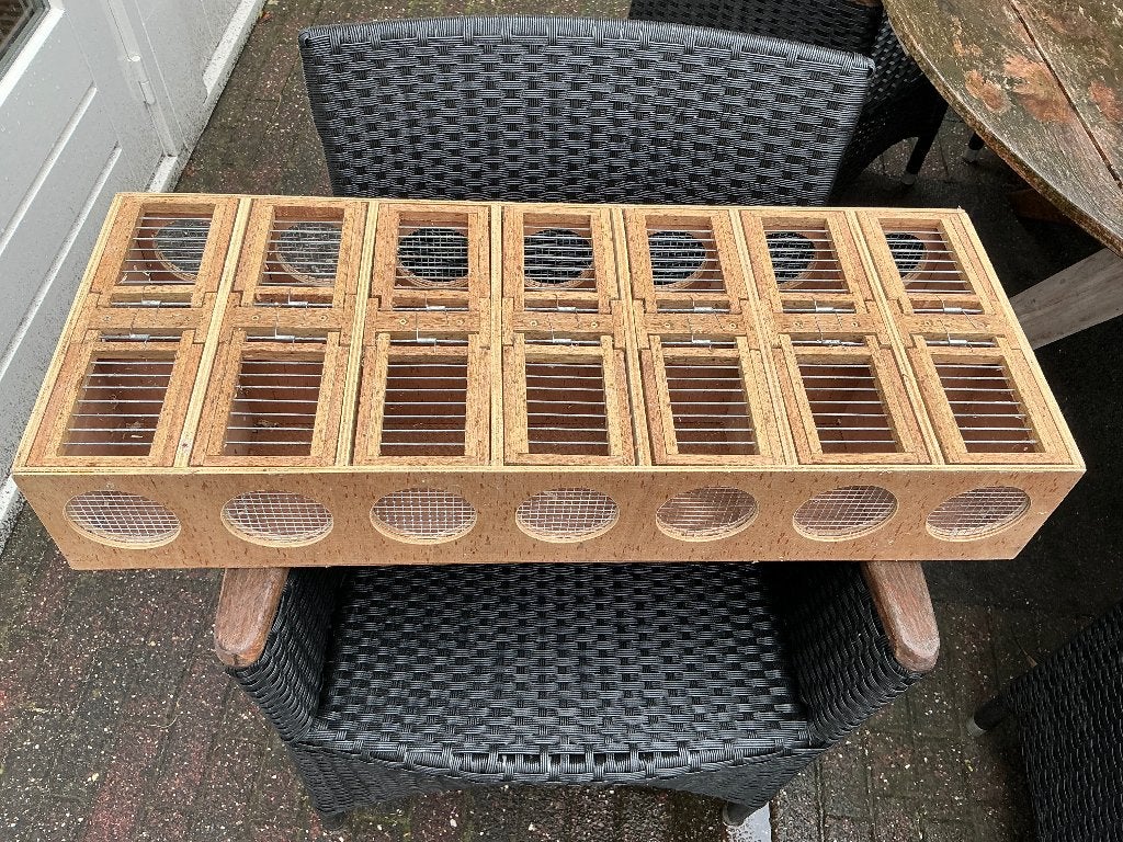 Vervoerkist loper vogels, Ophalen of Verzenden, Zo goed als nieuw, Kooi-accessoires