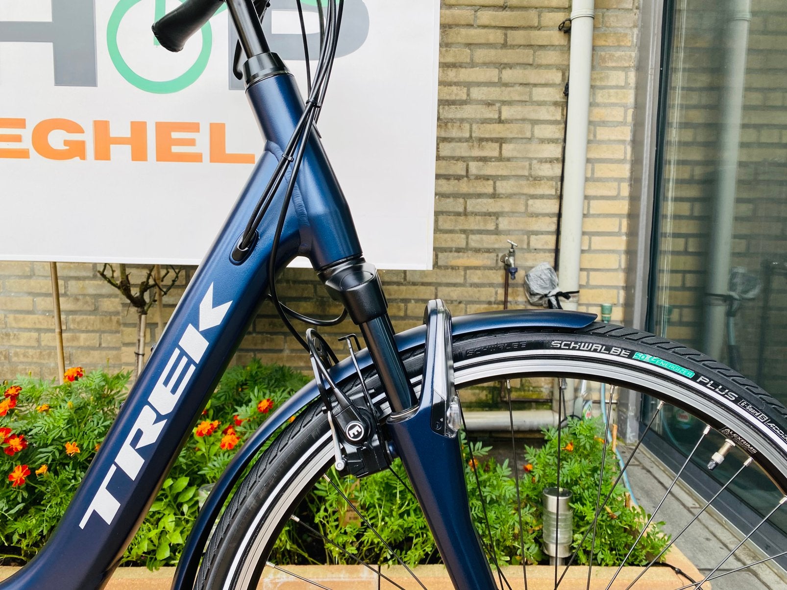 Elektrische Trek Lm3+ Bosch Middenmoto Active Line Plus D50, Ophalen of Verzenden, Zo goed als nieuw, 5467kc, 50 tot 53 cm