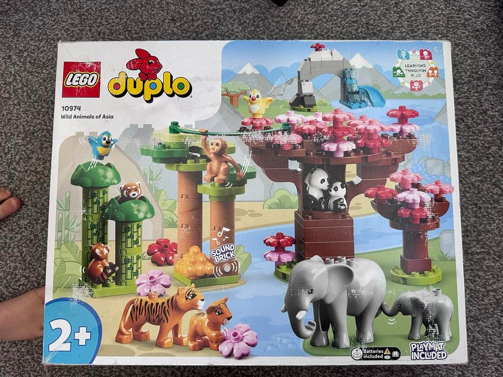 Lego Duplo 10974 Wilde Dieren van Azië - Zo goed als nieuw, Overige thema's, Ophalen of Verzenden, Zo goed als nieuw, Duplo