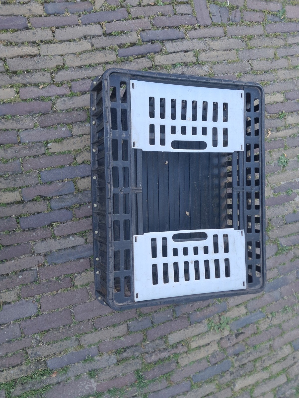 Vervoerbak voor pluimvee, Vrouwelijk, Kip