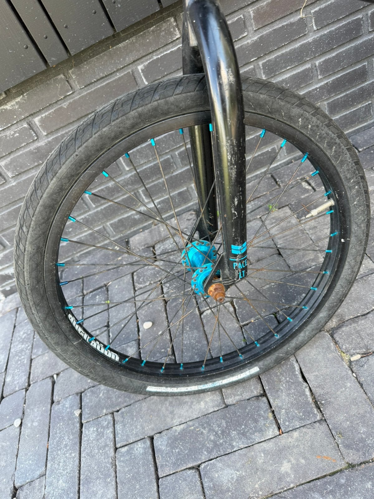 Haro Racelite Pro BMX – zwart/blauw – 20 inch, Ophalen, 16 tot 20 inch, Staal, Zo goed als nieuw