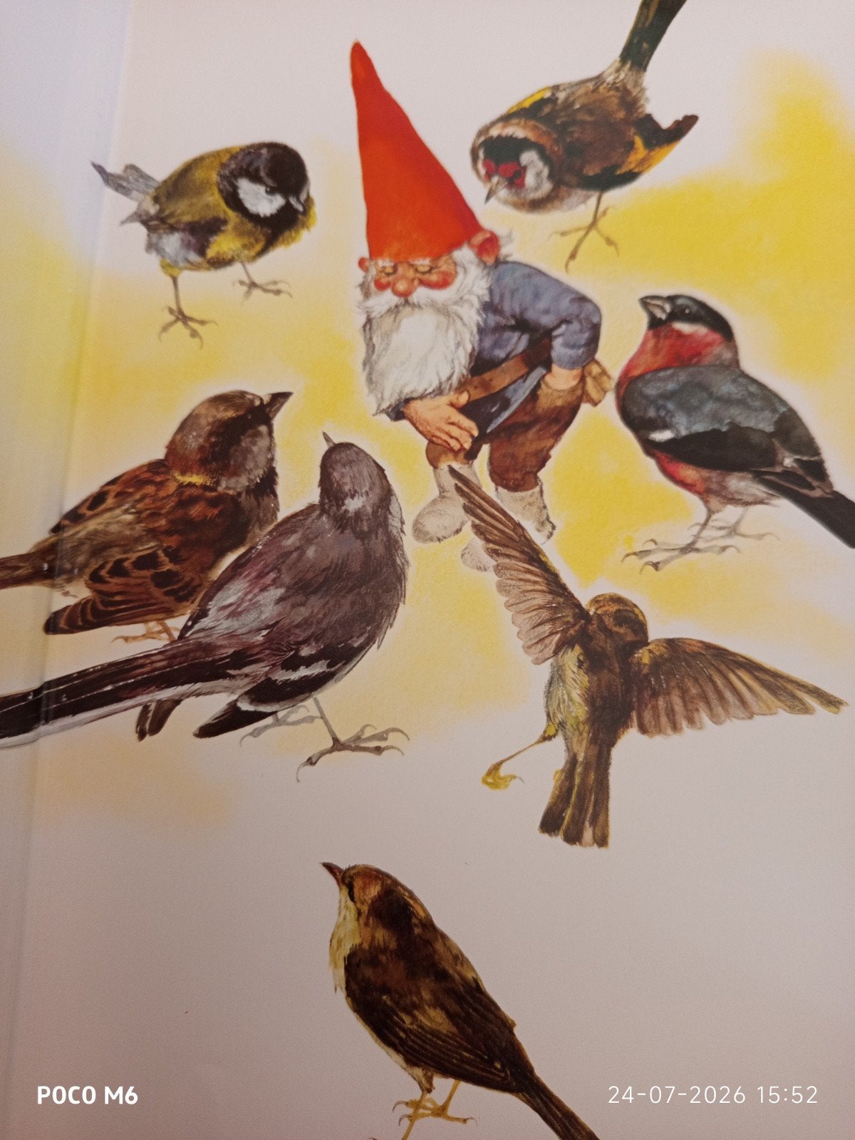 Boek Rien poortvliet- kabouters, Ophalen of Verzenden, Zo goed als nieuw