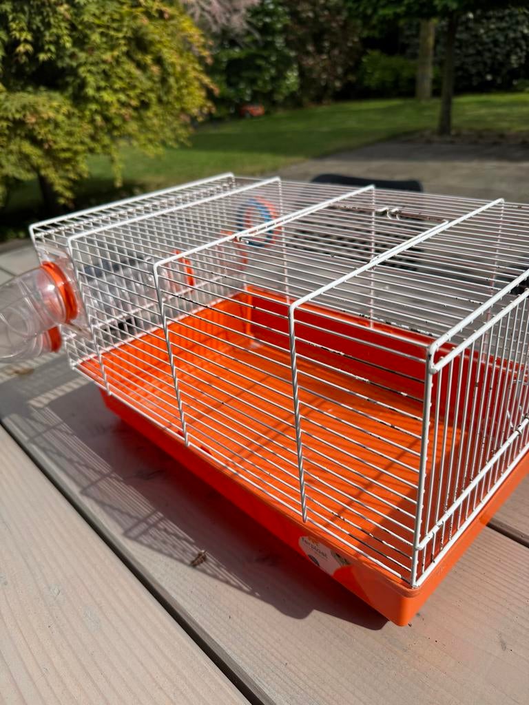 gratis kleine dierenkooi, Ophalen