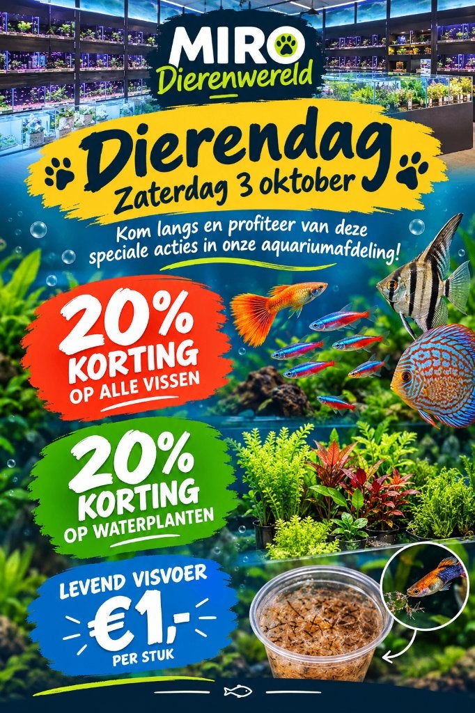 Dierendag mega-actie aquariumvissen, Vis, Zoetwatervis