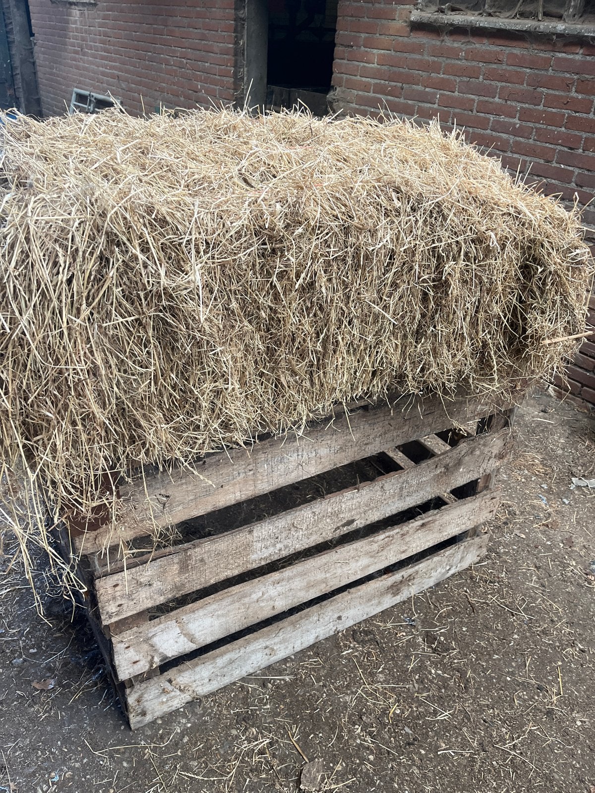Kleine baal hooi - Ideaal voor kleine huisdieren, Ophalen