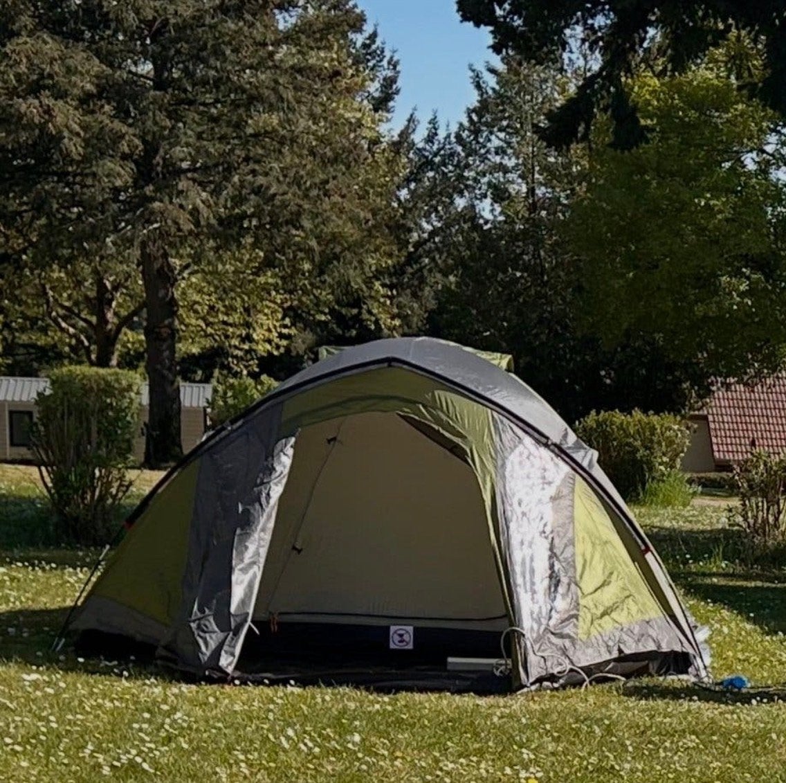 Coleman Darwin 4+ tent (slechts 2 nachten gebruikt), Caravans en Kamperen, Tenten, Ophalen of Verzenden, Tot en met 4