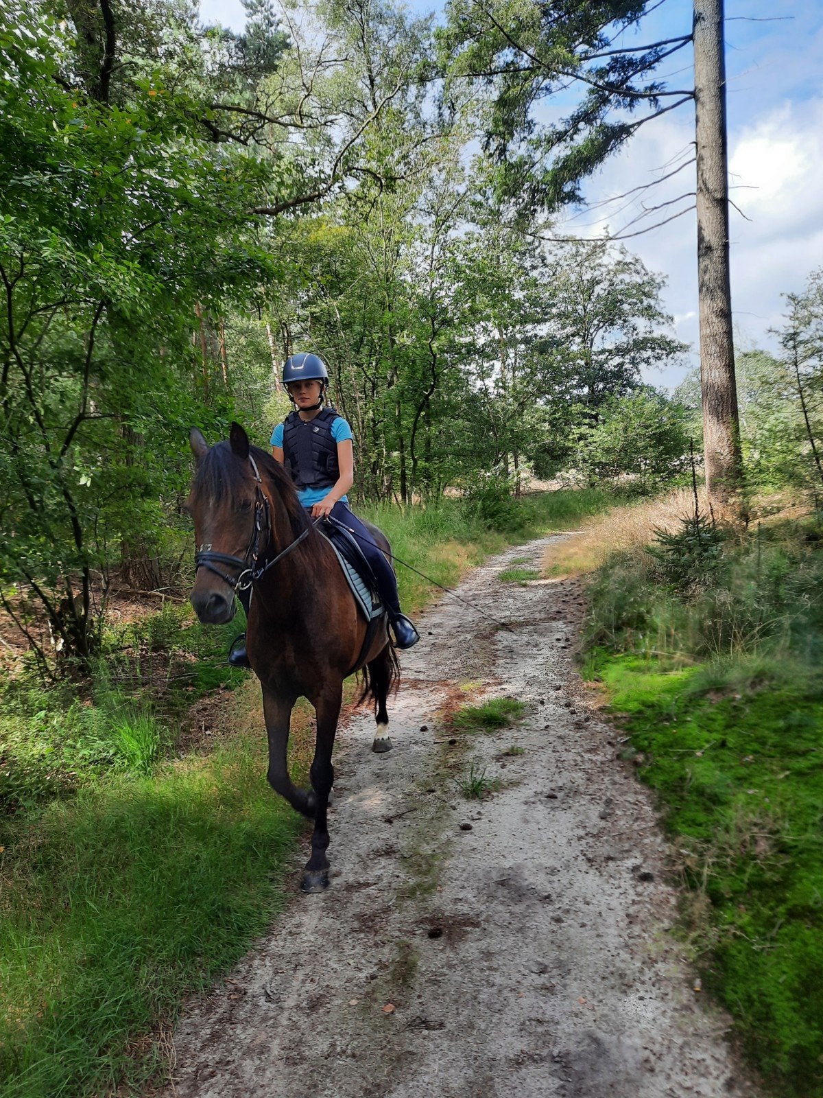 Recreatiepony projectpony, Dieren en Toebehoren, Ruin, 11 jaar of ouder, Recreatiepony, D pony (1.37m tot 1.48m)