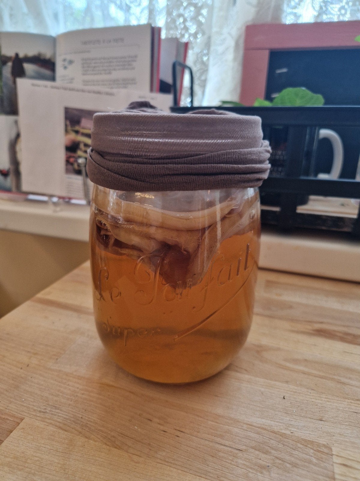 Kombucha scoby, Ophalen