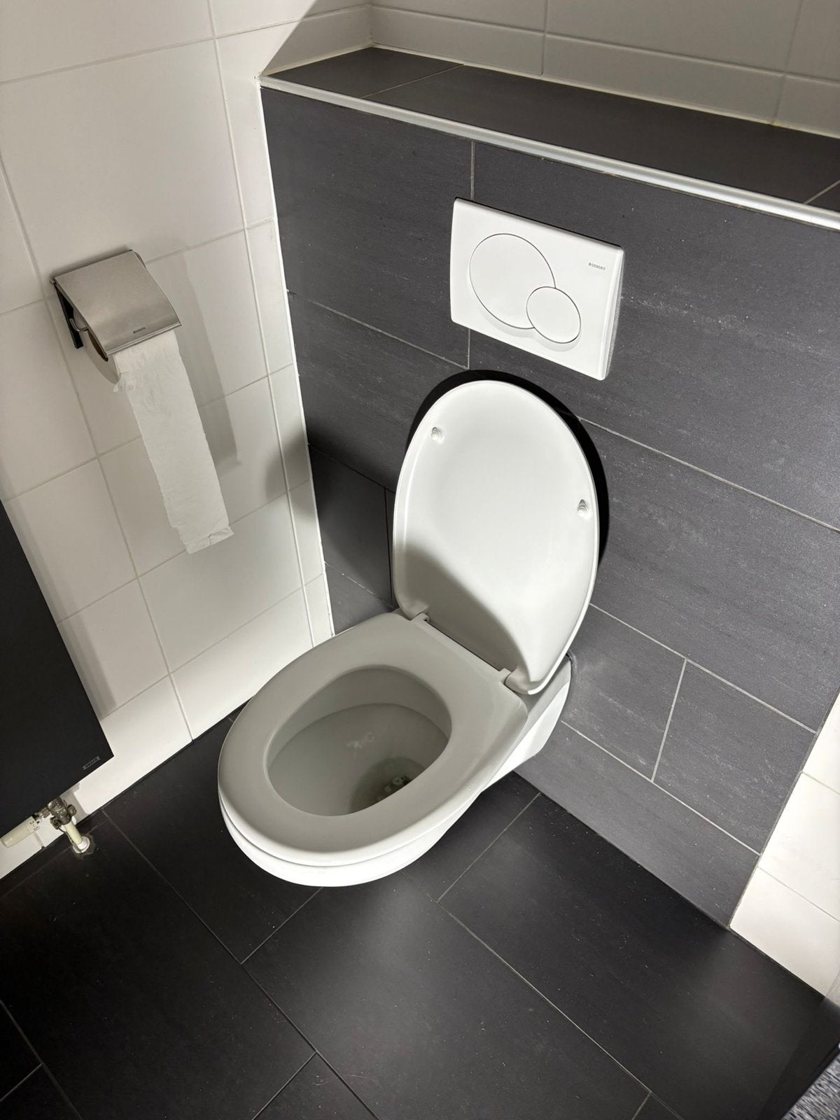 Geberit hangtoilet, Doe-het-zelf en Verbouw, Sanitair, Ophalen, Zo goed als nieuw, Rvs, Toilet