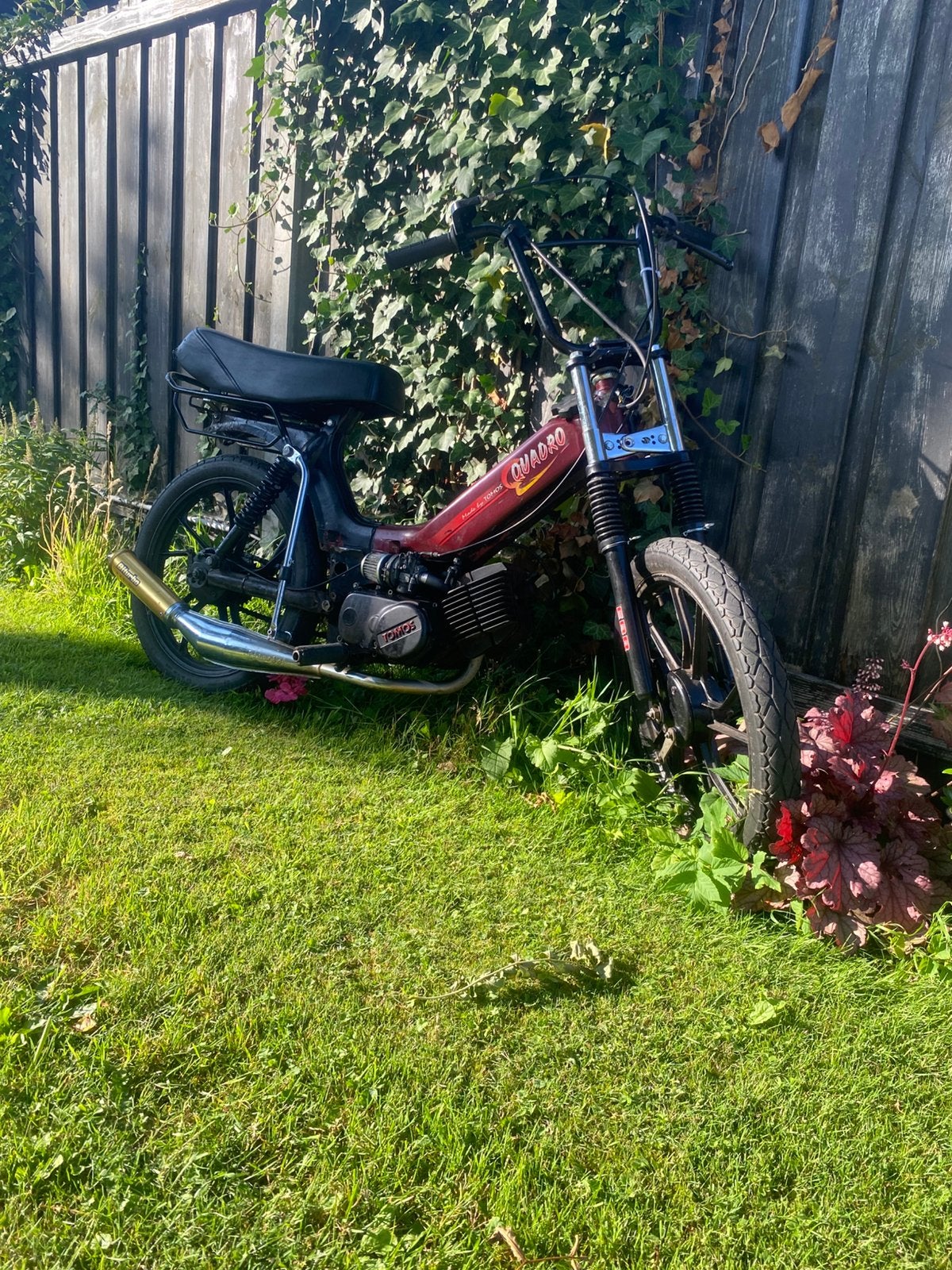 Tomos quadro, Ophalen, Gebruikt, Maximaal 45 km/u, Quadro