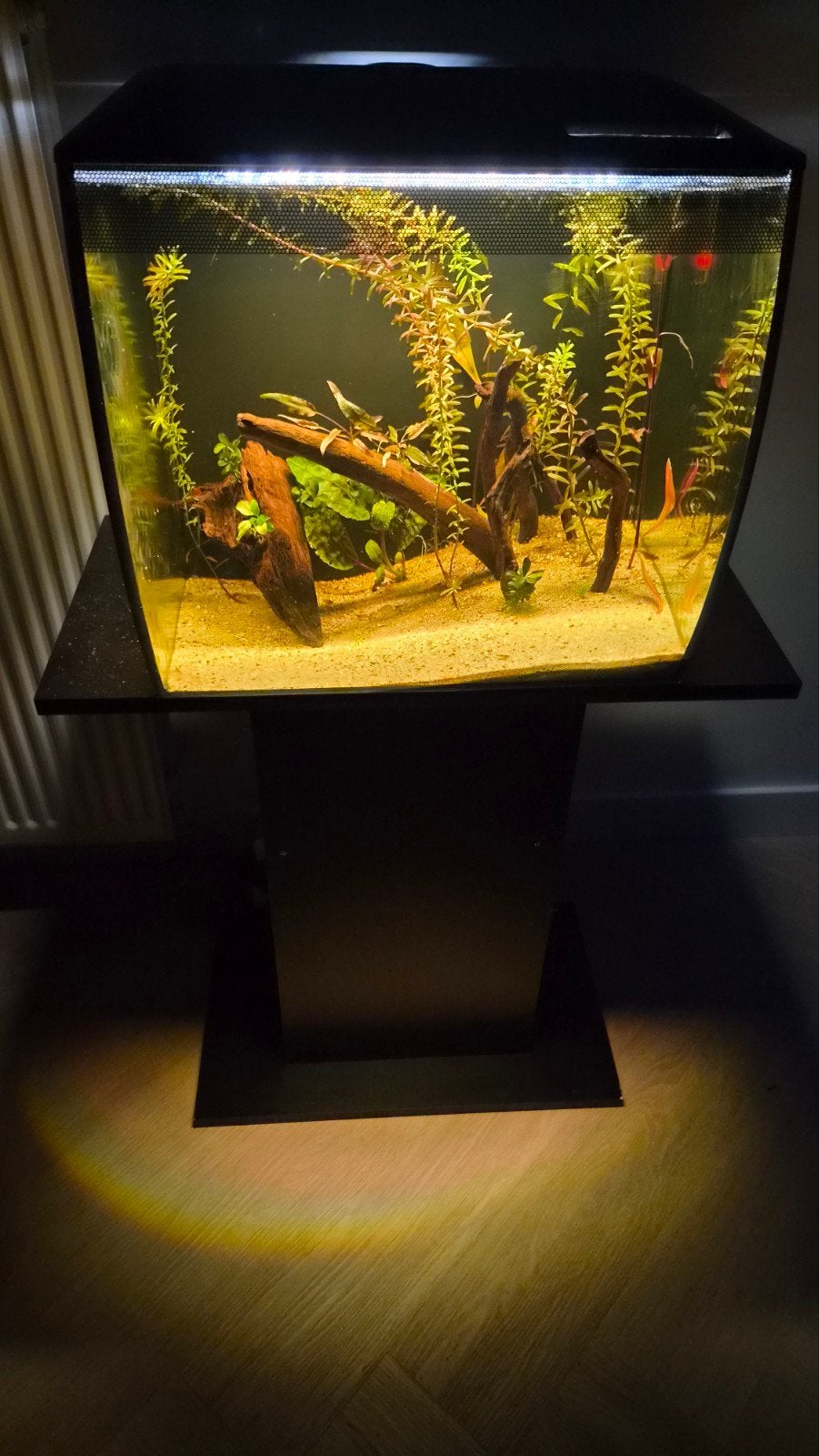 aquarium draait nog incl garnalen, Ophalen of Verzenden, Gebruikt